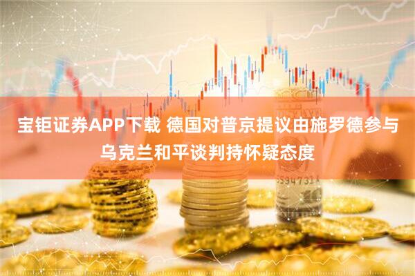 宝钜证券APP下载 德国对普京提议由施罗德参与乌克兰和平谈判持怀疑态度