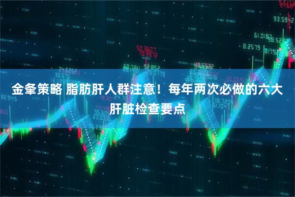 金夆策略 脂肪肝人群注意！每年两次必做的六大肝脏检查要点